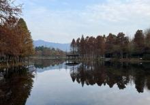 水体湿地公园1