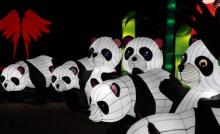 义渡灯会30