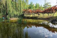 美茵运动公园3