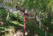 山谷公园2