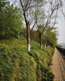 巴滨路湿地公园1