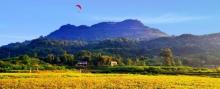重庆市龙登山滑翔伞基地2