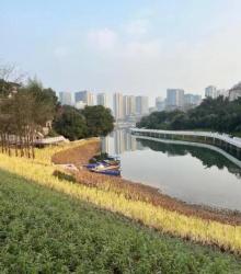 金山公园3