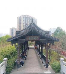 巴南文化电影公园1