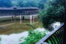 白市驿森林公园2