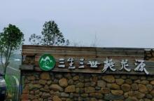 三生三世桃花源1