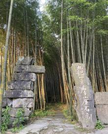 九锅箐森林公园4