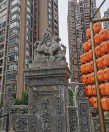 青云桥5