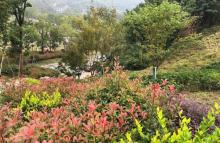 尖刀山森林公园3