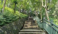 北碚公园4