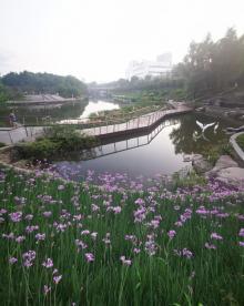 叠水公园4