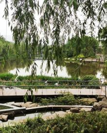 叠水公园9