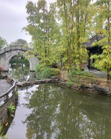 举子园22