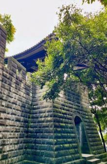 大渡口森林公园1