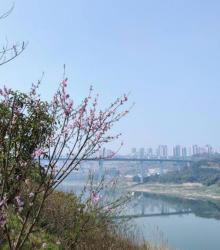 悦来滨江公园2