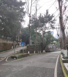松林坡1