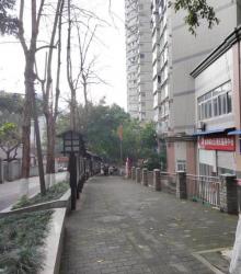 松林坡2