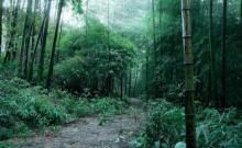雨台山风景区17