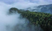 雨台山风景区12