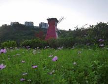 百花谷旅游度假区6