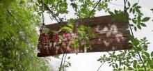 开州盛山植物园3