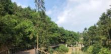 玉峰山森林公园2