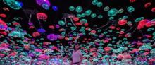 时光穿越梦幻馆18