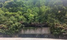 翠屏山公园1