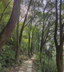 张飞古道1