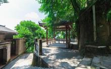 黄桷古道5
