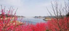 圣水湖桃花岛1