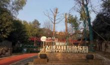 飞越丛林户外探险乐园（玉峰山项目）16