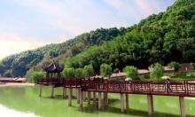 重庆市梁平区百里竹海-蝴蝶谷6