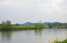 陈抟故里・崇龛花海景区15