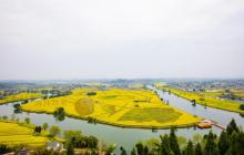 陈抟故里・崇龛花海景区10