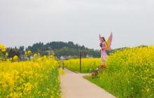 陈抟故里・崇龛花海景区6