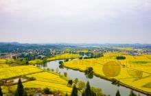 陈抟故里・崇龛花海景区14