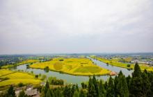 陈抟故里・崇龛花海景区11