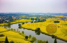 陈抟故里・崇龛花海景区13