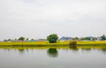 陈抟故里・崇龛花海景区17