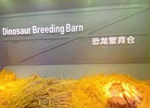 恐龙探索乐园（棕榈泉旗舰店）18