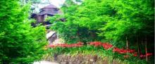 七彩熊家沟风景区10