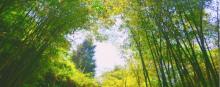 七彩熊家沟风景区2