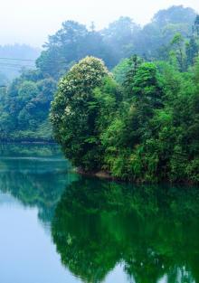 青龙湖1