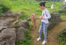 常青国际羊鹿山景区3