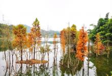 青山湖湿地公园14