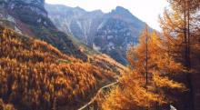 雪宝山国家森林公园4