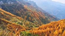 雪宝山国家森林公园5
