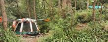铁山坪草野星空露营基地3