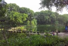 沙坪公园2